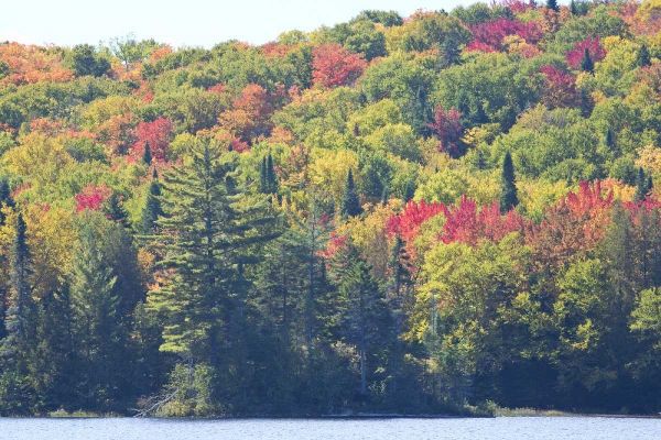 Canada, Quebec Fall colors along Lake Monroe